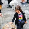 Sarah Michelle Gellar a emmené sa fille Charlotte au Farmer's Market à Los Angeles, le 5 mai 2013. La petite fille a eu la chance de faire du poney et d'approcher une tortue géante.