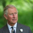  Le prince Charles à Langenburg le 27 mai 2013 