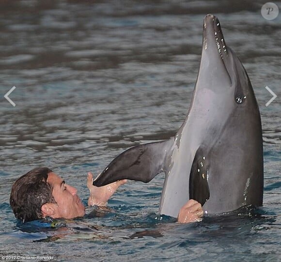 Le footballeur Cristiano Ronaldo a eu la chance de nager avec les dauphins, aux Maldives, en décembre 2011.