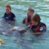 Danse avec les dauphins dans Les Anges de la télé-réalité 5 sur NRJ 12 le mardi 25 juin 2013