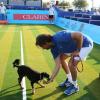 Henri Leconte avec son chien à Saint-Tropez le 12 juillet 2013 lors du 3e Classic Tennis Tour.