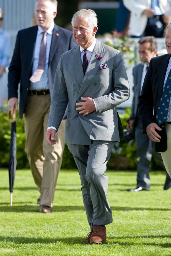 Le prince Charles à la Westchester Cup de polo le 28 juillet 2013 au Great Park de Windsor.