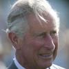 Ça décoiffe... Le prince Charles à la Westchester Cup de polo, duel anglo-américain remporté par les Anglais, le 28 juillet 2013 au Great Park de Windsor.