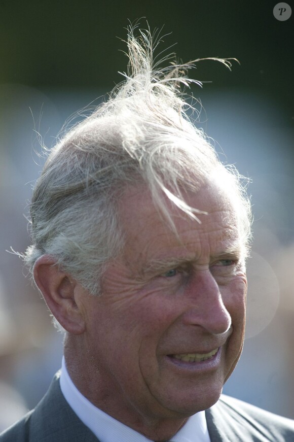 Ça décoiffe... Le prince Charles à la Westchester Cup de polo, duel anglo-américain remporté par les Anglais, le 28 juillet 2013 au Great Park de Windsor.