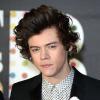 Harry Styles du groupe One Direction aux Brit Awards à Londres, le 13 février 2013.