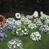 Des anonymes n'ont pas manqué de venir se recueillir et déposer des fleurs à l'église et au cimetière de Lage Vuursche, suite aux obsèques du prince Friso d'Orange-Nassau qui s'y sont déroulées le 16 août 2013.