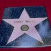 Barry White reçoit son étoile au Walf of Fame à Los Angeles le 12 septembre 2013.