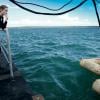 Angelina Jolie en action sur le tournage d'Unbroken en Australie.