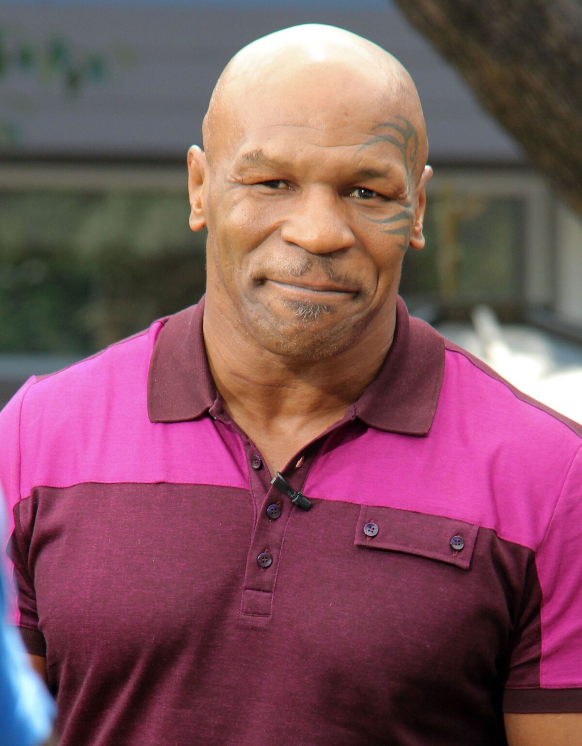 Photo Mike Tyson à Los Angeles, le 20 août 2013. Purepeople