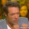 Nicolas Bedos s'est lâché sur le plateau de "Salut les terriens !", émission présentée par Thierry Ardisson, samedi 16 novembre sur Canal +.