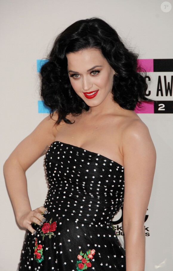 Katy Perry à Los Angeles, le 24 novembre 2013.