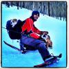 Lewis Hamilton et ses deux chiens lors d'une randonnée en raquettes le 31 décembre 2013