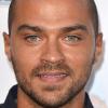 Jesse Williams à la première de "Snake and Mongoose" à Los Angeles, le 26 août 2013.