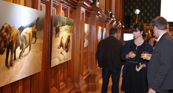 Vernissage de l'exposition "Il était une fois Baby et Népal" du photographe Frédéric Nebinger retracant l'arrivée des deux éléphantes sauvées par la princesse Stephanie de Monaco, au Musée Océanographique de Monaco, le 10 janvier 2014.