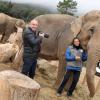 Exclusif - Stéphanie de Monaco et le photographe Frédéric Nebimger prenant la pose avec les éléphantes Baby et Nepal au domaine de Fonbonne, le 10 janvier 2014. Le photographe signe une exposition retraçant l'aventure de la princesse pour le sauvetage de ces bêtes. 
