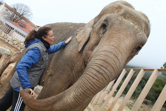 Exclusif - Stéphanie de Monaco prend la pose avec les éléphantes Baby et Nepal au domaine de Fonbonne, le 10 janvier 2014.