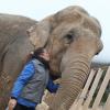 Exclusif - Stéphanie de Monaco prend la pose avec les éléphantes Baby et Nepal au domaine de Fonbonne, le 10 janvier 2014.