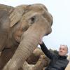 Exclusif - Le photographe Frédéric Nebimger prenant la pose avec les éléphantes Baby et Nepal au domaine de Fonbonne, le 10 janvier 2014. On lui doit une exposition retraçant l'aventure de la princesse Stéphanie de Monaco pour le sauvetage de ces bêtes.