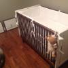 Devon Sawa a publié une photo de la chambre de bébé, sur Twitter, le 2 décembre 2013.