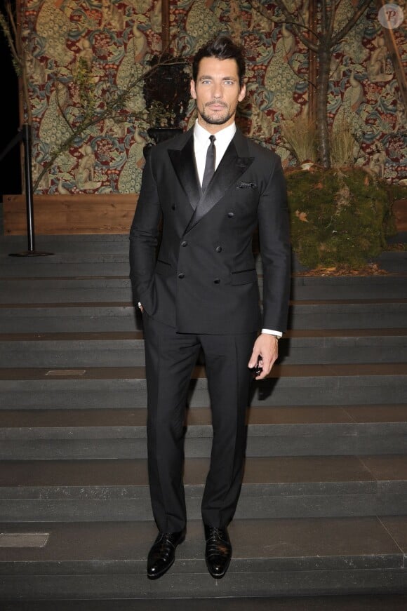 David Gandy assiste au défilé Dolce & Gabbana automne-hiver 2014-15 à Milan. Le 23 février 2014.