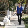 Olivia Wilde, enceinte, sort de chez le vétérinaire avec son chien à Los Angeles, le 20 février 2014.