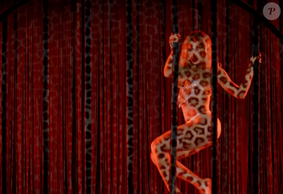 Beyoncé, ultra-sexy dans son clip "Partition", mis en ligne le 25 février 2014.