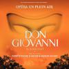 Don Giovanni - Opéra en plein air 2014 - mise en cène de Patrick Poivre d'Arvor et Manon Savary.