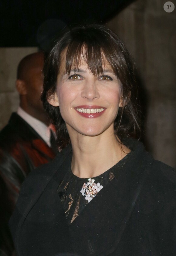 Sophie Marceau au Grand Palais à Paris le 12 novembre 2013.