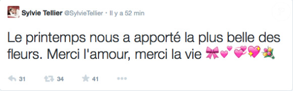 Sylvie Tellier annonce qu'elle a accouché sur Twitter le 25 mars 2014