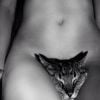 Candice Swanepoel pose nue avec son chat - avril 2014