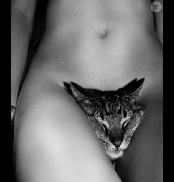 Candice Swanepoel pose nue avec son chat - avril 2014