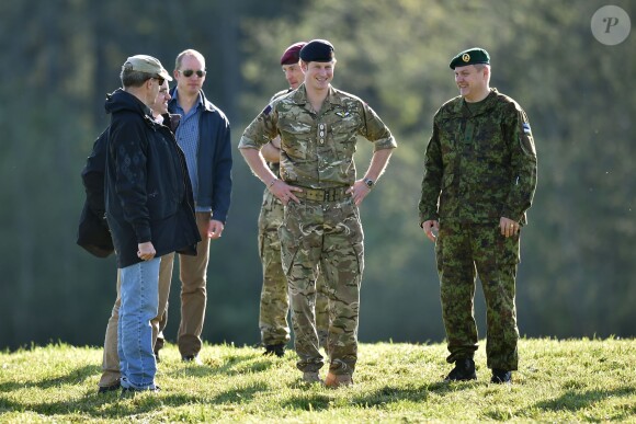 Le prince Harry lors d'un exercice militaire à Sangaste, en Estonie, le 17 mai 2014