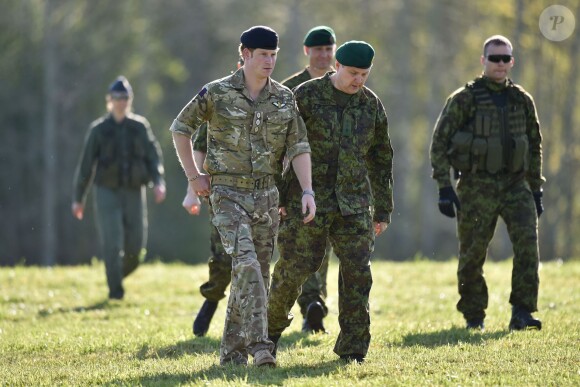 Le prince Harry lors d'un exercice militaire à Sangaste, en Estonie, le 17 mai 2014