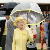 La reine Elizabeth II avait choisi une tenue jaune primevère pour ensoleillé la pluvieuse troisième garden party qu'elle donnait à Buckingham Palace le 3 juin 2014.