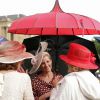 La comtesse Sophie de Wessex, élégante comme toujours, lors de la pluvieuse troisième garden party de l'année organisée à Buckingham Palace le 3 juin 2014.