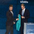 Le prince William et David Beckham, alliés de choc, ont lancé ensemble, le 9 juin 2014 à Londres, une campagne de sensibilisation à la préservation de la faune sauvage sous l'égide de United for Wildlife.