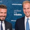 David Beckham et le prince William, complices de choc, ont lancé, le 9 juin 2014 à Londres, une campagne de sensibilisation à la préservation de la faune sauvage sous l'égide de United for Wildlife.