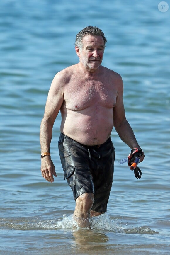 Robin Williams en vacances à Maui sur l'île d'Hawaï le 1er janvier 2014.
