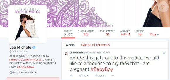 Capture d'écran du compte Twitter de Lea Michele, piraté le 4 juillet 2014.