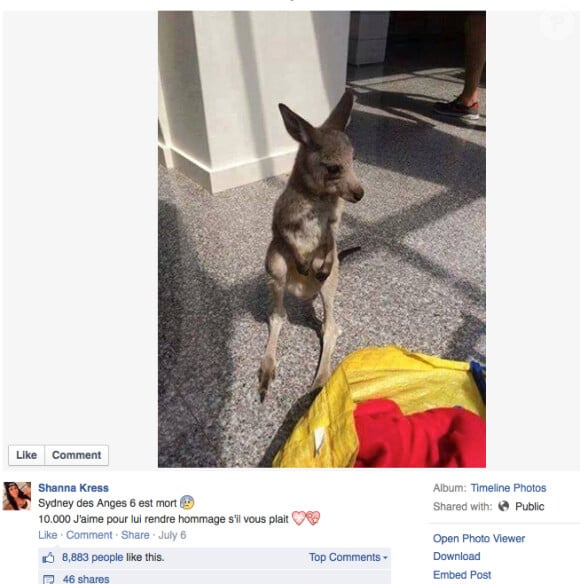 Shanna annonce le 6 juillet la mort de Sydney le kangourou des Anges de la télé-réalité 6.