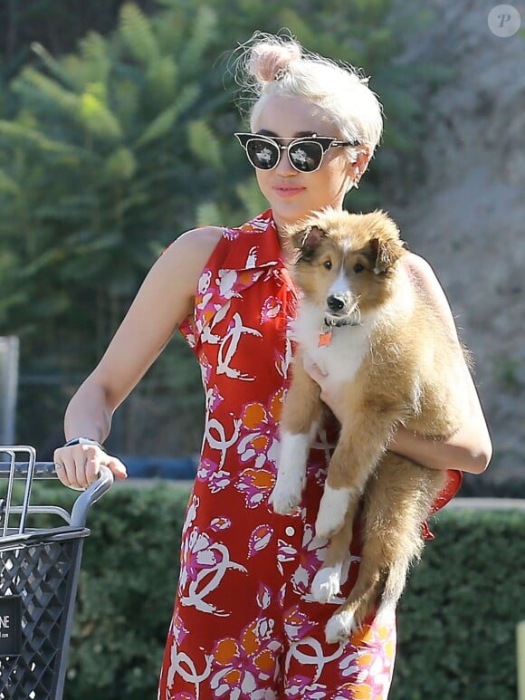 Exclusif - Miley Cyrus et sa soeur Noah vont faire des courses à Los Angeles, le 29 juin 2014. Miley porte son nouveau petit chien Emu dans ses bras. 