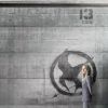 Julianne Moore pour Hunger Games - La Révolte : Partie 1
