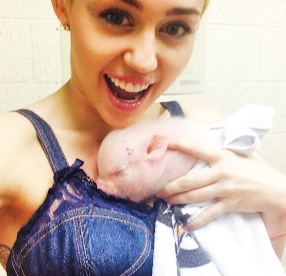 Miley Cyrus a adopté un petit cochon répondant au nom de Bubba Sue, le 11 août 2014.
