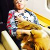 Miley Cyrus a adopté un petit cochon répondant au nom de Bubba Sue, le 11 août 2014.