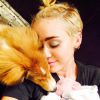 Miley Cyrus avec son chien Emu et son bébé cochon, Bubba Sue, tout juste adopté le 11 août 2014.