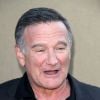 Robin Williams - Soiree "Summer TCA 2013" a Beverly Hills, le 29 juillet 2013.