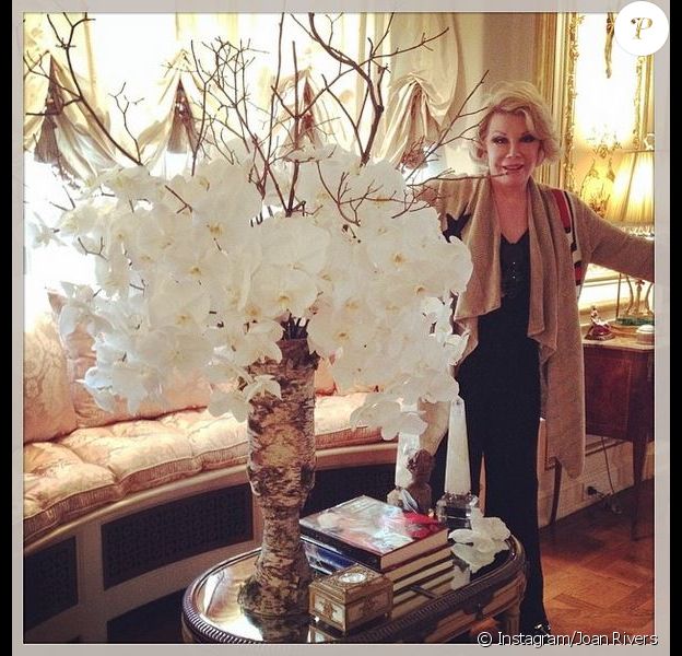Joan Rivers prend la pose dans son appartement de New York, le 3 mai 2014