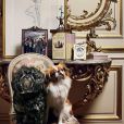 Petit aperçu de l'appartement de Joan Rivers