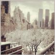 La vue sur New York depuis l'appartement de Joan Rivers, février 2014