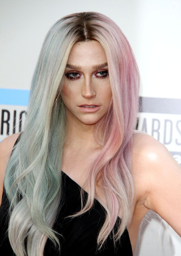 Kesha à la soirée "American Music Awards 2013" à Los Angeles, le 24 novembre 2013.